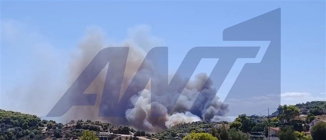 Δύο οι μεγάλες φωτιές στη Σαλαμίνα - Ήχησε το 112 για εκκένωση