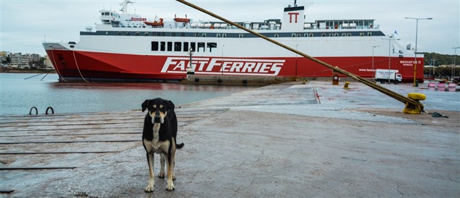 Σταδιακή αποκατάσταση στα ακτοπλοϊκά δρομολόγια σε ορισμένα λιμάνια της χώρας - Παραμένουν οι ισχυροί άνεμοι