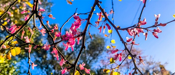 Τι καιρό θα κάνει την Τρίτη
