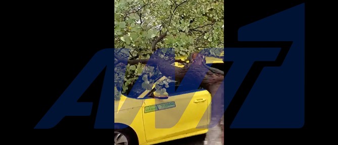 Κακοκαιρία: Πτώση δέντρου σε διερχόμενο ταξί - Εγκλωβίστηκε ο οδηγός (βίντεο)