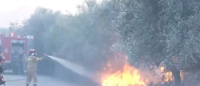 Ενισχύονται οι πυροσβεστικές δυνάμεις στο Σκάλωμα Φωκίδας
