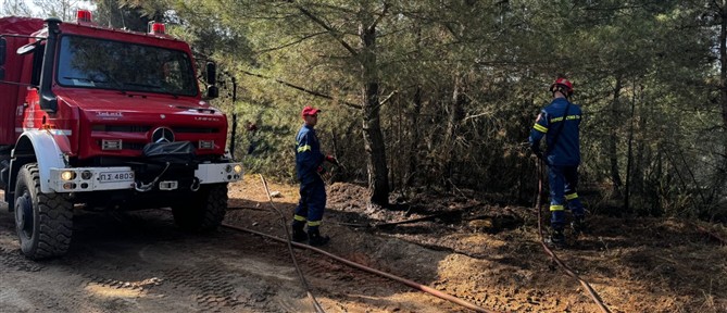 Θεσσαλονίκη: Απαγόρευση κυκλοφορίας αύριο σε Σέιχ Σου και δασικές εκτάσεις -Yψηλός κίνδυνος πυρκαγιάς
