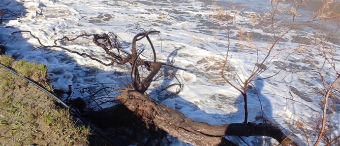 Λάρισα: Η θάλασσα βγήκε στη στεριά και …κατάπιε αυλές και σπίτια σε παραλιακό οικισμό