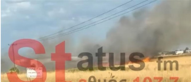 Θεσσαλονίκη: Πυρκαγιά καίει ξερά χόρτα κοντά στην ΠΑΘΕ (βίντεο)