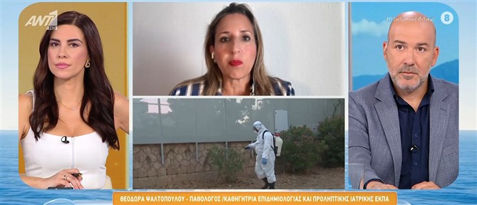 Ψαλτοπούλου  για το ιό του δυτικού Νείλου: Σταδιακά ίσως γίνεται ένα πανευρωπαϊκό πρόβλημα