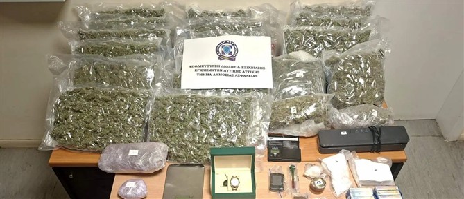 Εξαρθρώθηκε κύκλωμα που έκλεβε αυτοκίνητα και διακινούσε ναρκωτικά σε Αττική και Βοιωτία (εικόνες)