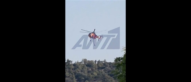 Υπό μερικό έλεγχο η φωτιά στο Κορωπί