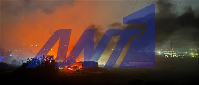 Ωραιόκαστρο: Η φωτιά εξαπλώνεται σε σπίτια και υποδομές - Ενισχύθηκαν οι δυνάμεις πυρόσβεσης