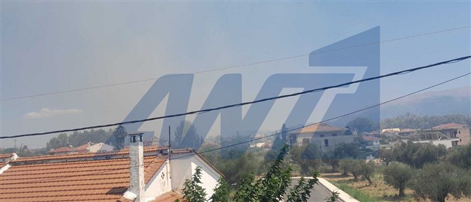 Ενισχύθηκαν οι δυνάμεις στην πυρκαγιά που εκδηλώθηκε σε αγροτοδασική έκταση στη Μακύνεια Αιτωλοακαρνανίας