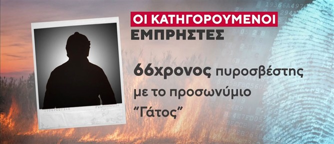 Συνελήφθησαν 3 άτομα για τους εμπρησμούς στη Μεσσηνία - Πως συνδέονται με το σκάνδαλο του ΟΠΕΚΕΠΕ