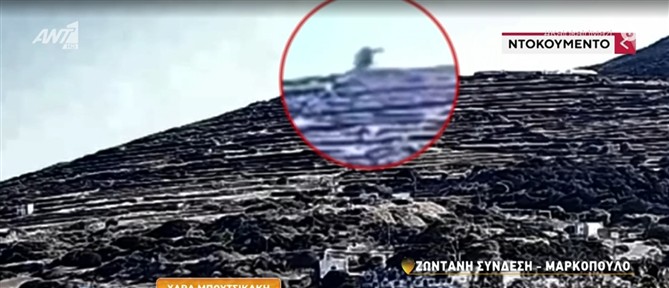 "Καλοκαίρι Μαζί" - Σίφνος: Στο "μικροσκόπιο" τα αίτια της τραγωδίας – Έλεγχοι στα Bell 206 πριν από κάθε πτήση