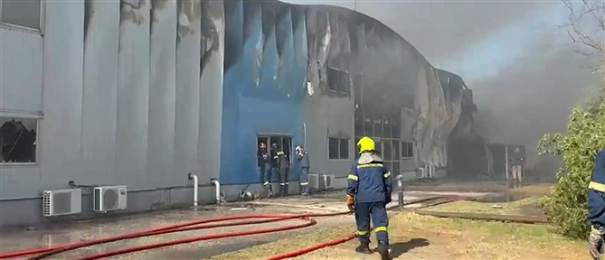 Συνελήφθη 70χρονος για τη φωτιά στο Καλοχώρι Θεσσαλονίκης - Προσπαθούσε να απομακρύνει σφίγγες