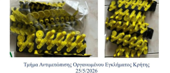 Κρήτη - ΟΠΕΚΕΠΕ: Πώς οι δύο λογιστές έστησαν την απάτη με κέρδη 3 εκατ. ευρώ (εικόνες)