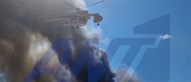 Μάχη με τις φλόγες δίνουν οι πυροσβέστες στο Καλοχώρι Θεσσαλονίκης - Επεκτάθηκε σε διπλανό εργοστάσιο η φωτιά (βίντεο)