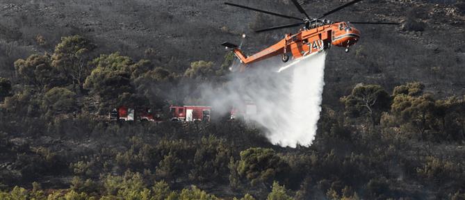Φωτιά στην Κεφαλονιά: Σηκώθηκαν εναέρια μέσα - Μήνυμα από το 112