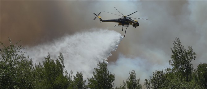 Φωτιά στον Άγιο Λαυρέντιο της Μαγνησίας - Κινητοποιήθηκαν 3 αεροσκάφη