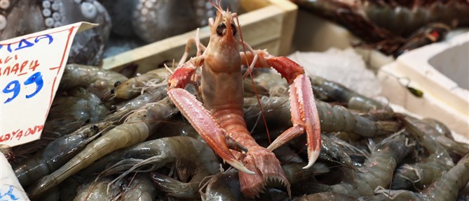 Βαρβάκειος - Καθαρά Δευτέρα: Για τα ψώνια της τελευταίας στιγμής σπεύδουν οι καταναλωτές