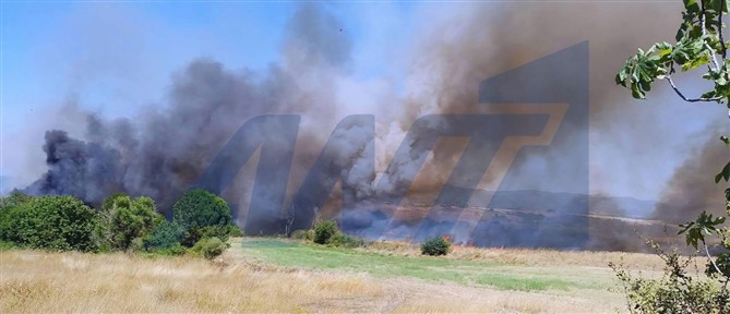 Σε ύφεση η φωτιά στην περιοχή της Βάρδας στην Ηλεία