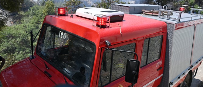 Φθιώτιδα: Οριοθετήθηκε η πυρκαγιά στην Καμηλόβρυση