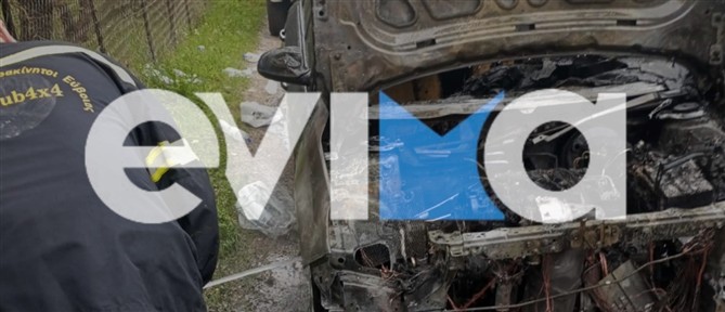 Εύβοια: Αυτοκίνητο τυλίχθηκε στις φλόγες (εικόνες)