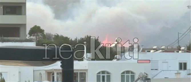 Ρέθυμνο: Στον ανακριτή ο Ισραηλινός που κατηγορείται για τη μεγάλη πυρκαγιά στα Σελλιά του Αγίου Βασιλείου