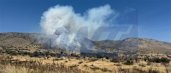Χωρίς ενεργό μέτωπο η φωτιά στον Ασπρόπυργο (βίντεο)