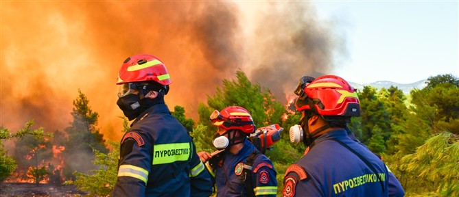 Φωτιά στην Κάτω Δαμάστα Φθιώτιδας