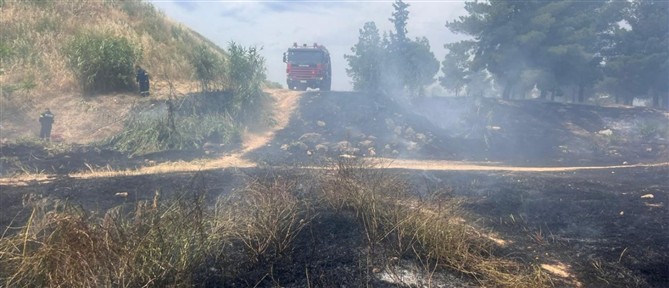 Φιλοθέη: Πυρκαγιά ξέσπασε σε χαμηλή βλάστηση - Επιχειρούν και 2 ελικόπτερα