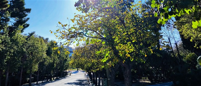 Τι καιρό θα κάνει την Κυριακή