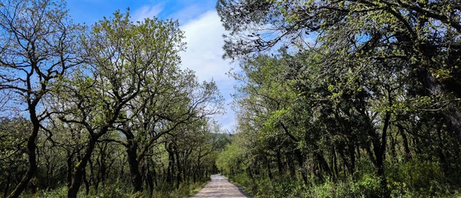 Τι καιρό θα κάνει την Παρασκευή