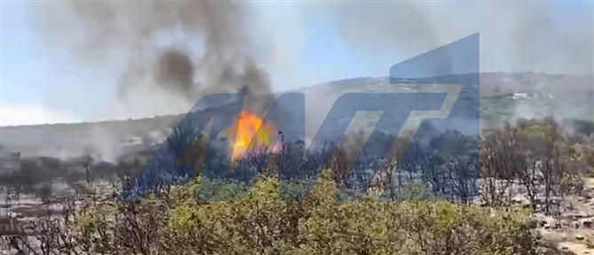 Φωτιά στον Ασπρόκαμπο Φθιώτιδας: Σηκώθηκαν εναέρια μέσα