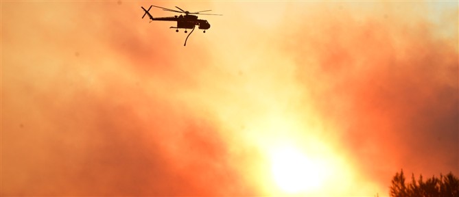 Μάχη με τα πύρινα μέτωπα σε Αττική, Βοιωτία και Φωκίδα - Νέα φωτιά στην Κεφαλονιά (LIVE όλες οι εξελίξεις)
