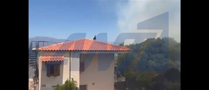 Σε ύφεση η πυρκαγιά σε δασική έκταση στο Πευκάλι Κορινθίας