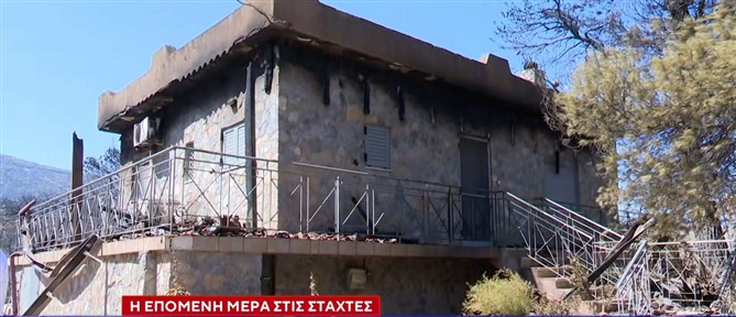 Αυτοψία στα καμένα: 37 σπίτια κρίθηκαν κατεδαφιστέα στο Πόρτο Γερμενό - Κάτοικοι της περιοχής μιλούν στον ΑΝΤ1