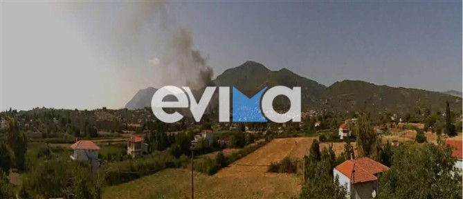 Χωρίς ενεργό μέτωπο η πυρκαγιά στα Πολιτικά Ευβοίας