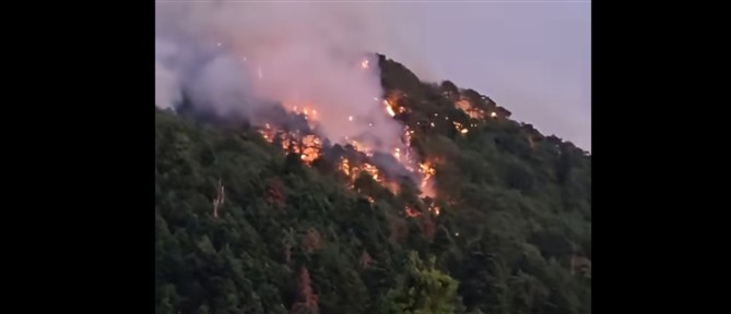 Ανεξέλεγκτη για όγδοη ημέρα η φωτιά στην Κόνιτσα