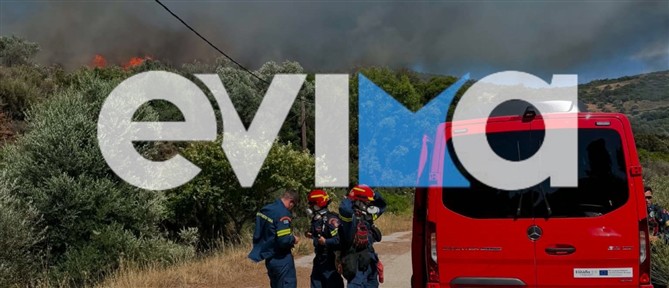 Μεγάλη φωτιά σε δασική έκταση στην Εύβοια - Ενεργοποιήθηκε το 112 (βίντεο)