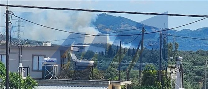 Φωτιά στην Αχαΐα: Επιχειρούν επίγεια και εναέρια μέσα