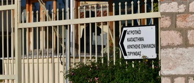 Αγροτικές Φυλακές Τίρυνθας: Άγρια συμπλοκή κρατουμένων - Τέσσερις τραυματίες (εικόνες)