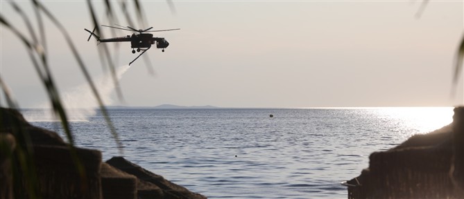Οριοθετήθηκε η πυρκαγιά στην περιοχή Τουρτούγια Λάρισας