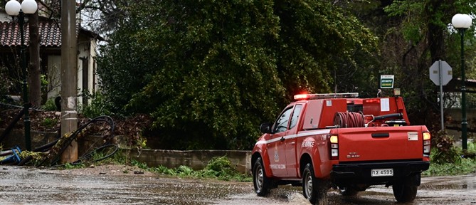 Διόνυσος - "Erminio": Κατολίσθηση, πτώση δέντρου σε ηλεκτροφόρα καλώδια και κλήσεις για απεγκλωβισμούς