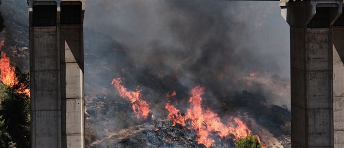 Πυρκαγιά στην Ισπανία: 45.000 στρέμματα κάηκαν κοντά στη Σαραγόσα
