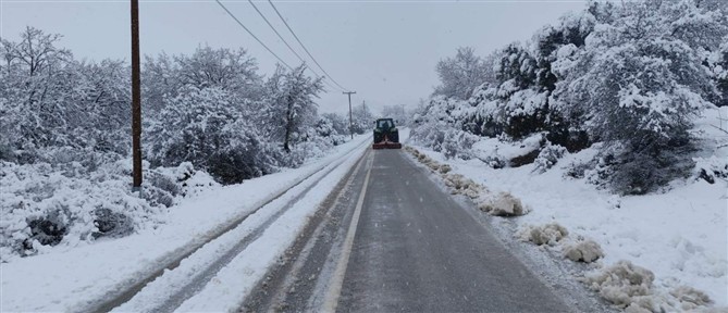 Ζαγόρι: Τέσσερα άτομα εγκλωβίστηκαν στο χιόνι
