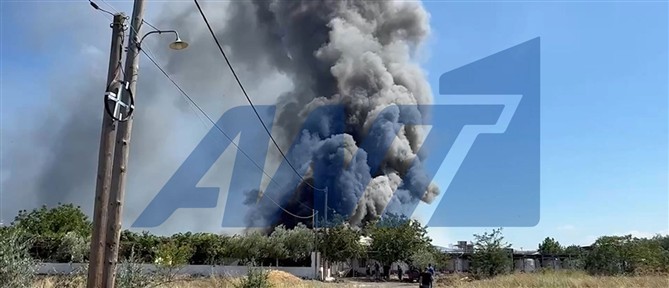 Φωτιά σε βιοτεχνία στο Καλοχώρι Θεσσαλονίκης - Ήχησε το 112 (βίντεο)