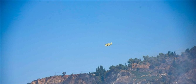 Αίγιο: Διάσπαρτες εστίες φωτιάς αντιμετωπίζουν οι δυνάμεις πυρόσβεσης στην περιοχή της Αιγιάλειας