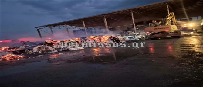 Συναγερμός στην Πυροσβεστική - Φωτιά σε εκκοκκιστήριο βάμβακος στον Ορχομενό