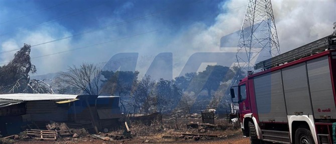 Η πυρκαγιά στον Ασπρόπυργο ξεκίνησε από σημείο με ελαστικά, απορρίματα και ογκώδη αντικείμενα