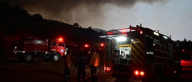 Αντιπεριφερειάρχης Ηλείας: Καλύτερη εικόνα παρουσιάζει η φωτιά στην περιοχή Μουζάκι
