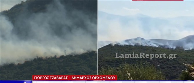 Ο δήμαρχος Ορχομενού στον ΑΝΤ1: Οι ζημιές ειναι μεγάλες, καλλιέργειες καταστράφηκαν