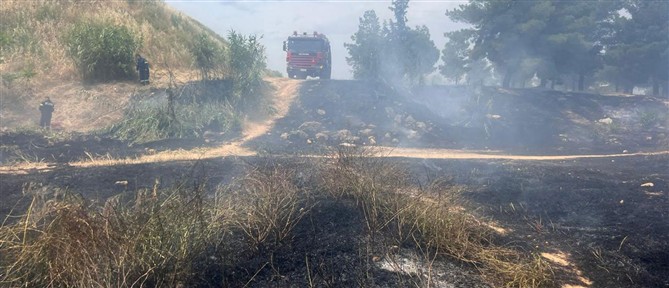 Πυροσβεστική: 64 αγροτοδασικές πυρκαγιές το τελευταίο 48ωρο σε διάφορες περιοχές της χώρας